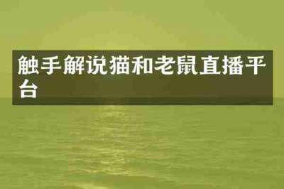 触手解说猫和老鼠直播平台