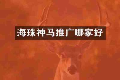 海珠神马推广哪家好
