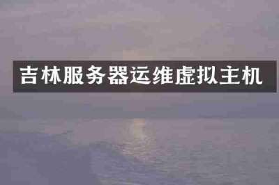 吉林服务器运维虚拟主机
