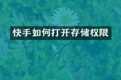快手如何打开存储权限