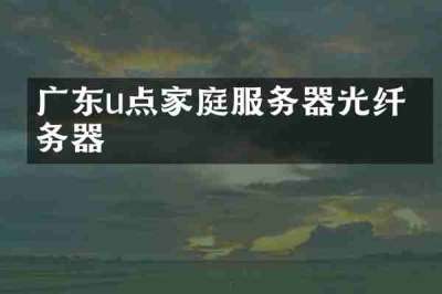 广东u点家庭服务器光纤服务器