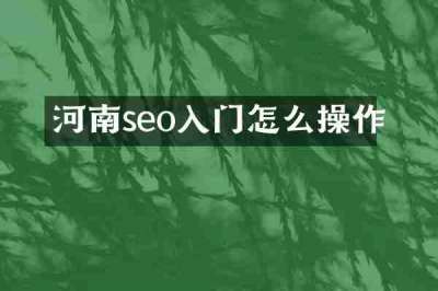 河南seo入门怎么操作