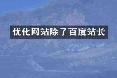 优化网站除了百度站长