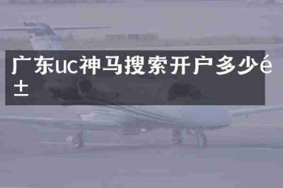 广东uc神马搜索开户多少钱