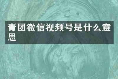 青团微信视频号是什么意思