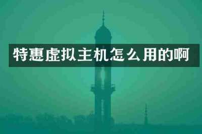 特惠虚拟主机怎么用的啊