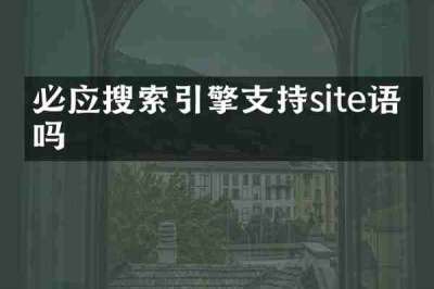 必应搜索引擎支持site语法吗