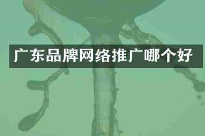 广东品牌网络推广哪个好