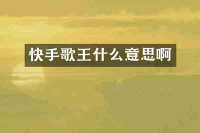 快手歌王什么意思啊