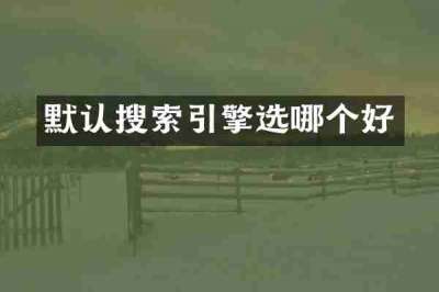 默认搜索引擎选哪个好