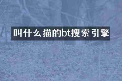 叫什么猫的bt搜索引擎