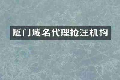 厦门域名代理抢注机构