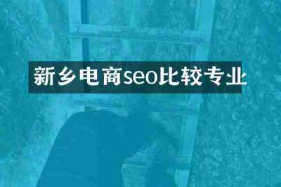 新乡电商seo比较专业