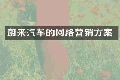 蔚来汽车的网络营销方案