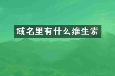 域名里有什么维生素