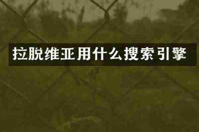 拉脱维亚用什么搜索引擎
