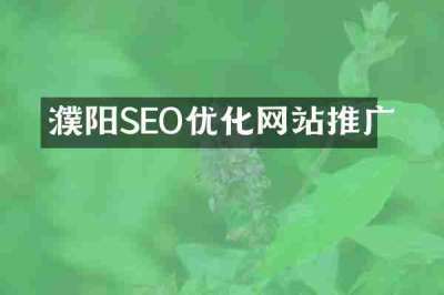 濮阳SEO优化网站推广