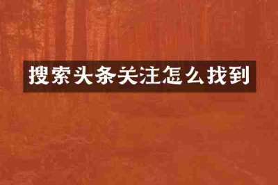 搜索头条关注怎么找到