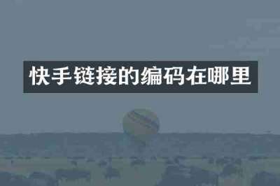 快手链接的编码在哪里