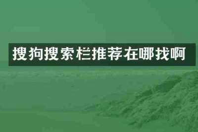 搜狗搜索栏推荐在哪找啊