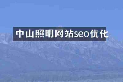 中山照明网站seo优化