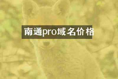 南通pro域名价格