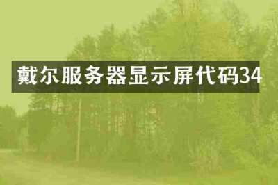 戴尔服务器显示屏代码34