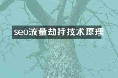 seo流量劫持技术原理