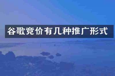 谷歌竞价有几种推广形式