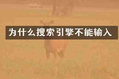 为什么搜索引擎不能输入