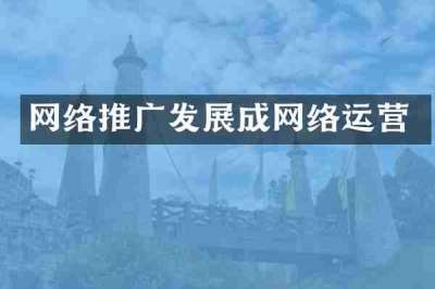 网络推广发展成网络运营