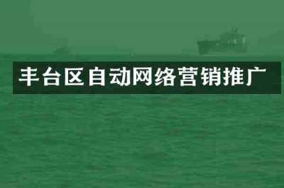 丰台区自动网络营销推广