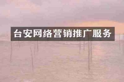 台安网络营销推广服务