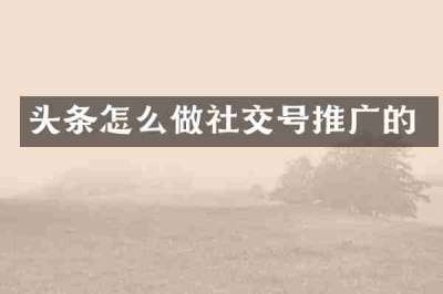 头条怎么做社交号推广的
