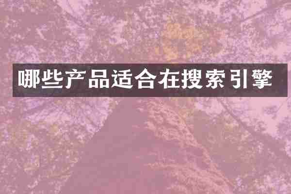 哪些产品适合在搜索引擎