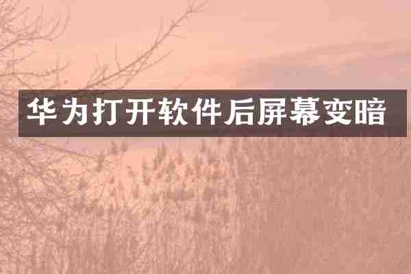 华为打开软件后屏幕变暗
