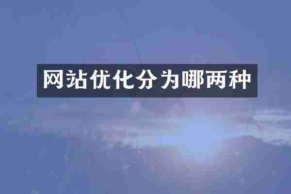 网站优化分为哪两种