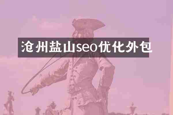 沧州盐山seo优化外包