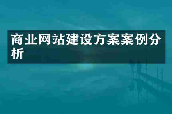 商业网站建设方案案例分析
