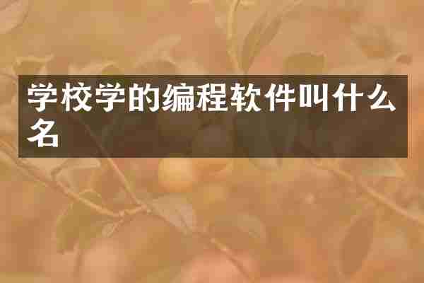 学校学的编程软件叫什么名