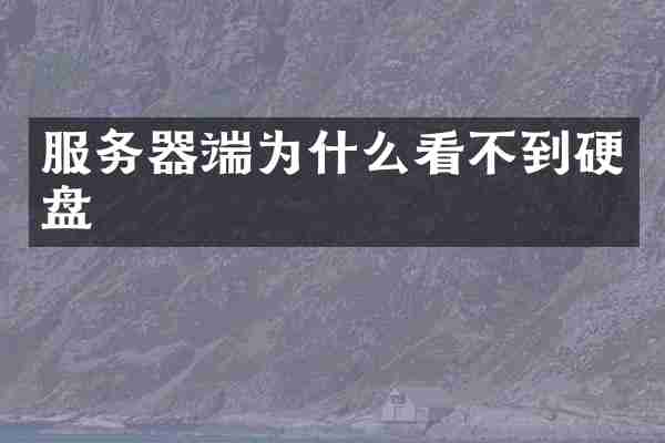 服务器端为什么看不到硬盘
