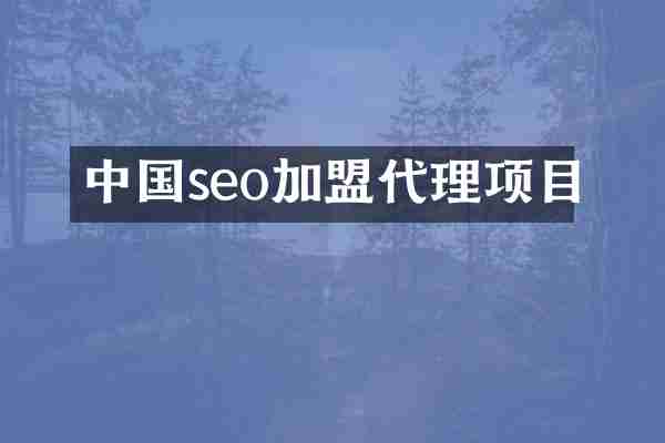 中国seo加盟代理项目