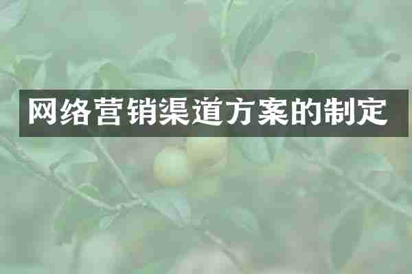 网络营销渠道方案的制定