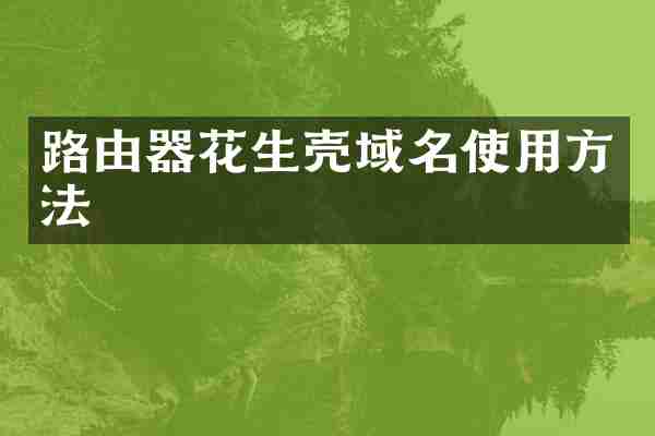 路由器花生壳域名使用方法