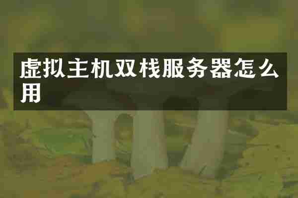虚拟主机双栈服务器怎么用