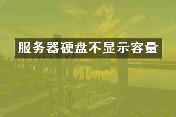 服务器硬盘不显示容量