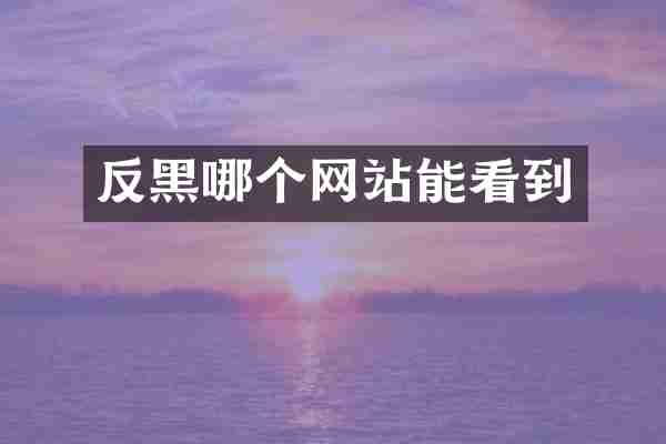 反黑哪个网站能看到