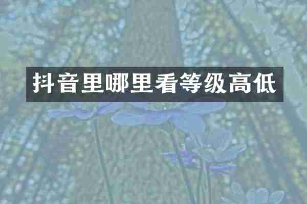抖音里哪里看等级高低