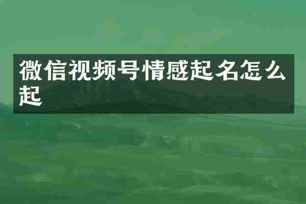微信视频号情感起名怎么起