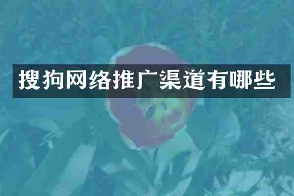搜狗网络推广渠道有哪些